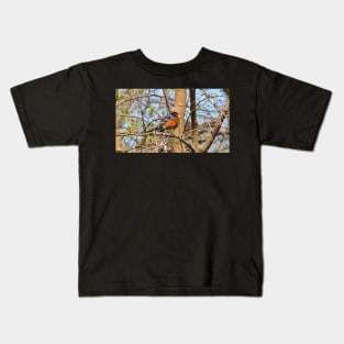 American Robin In A Tree Kids T-Shirt